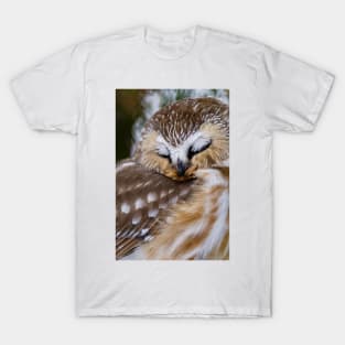 Northern Saw Whet Owl - Ottawa, Canada T-Shirt